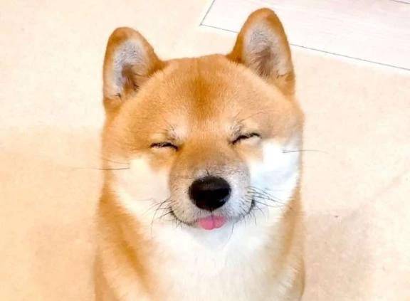 今日も💓