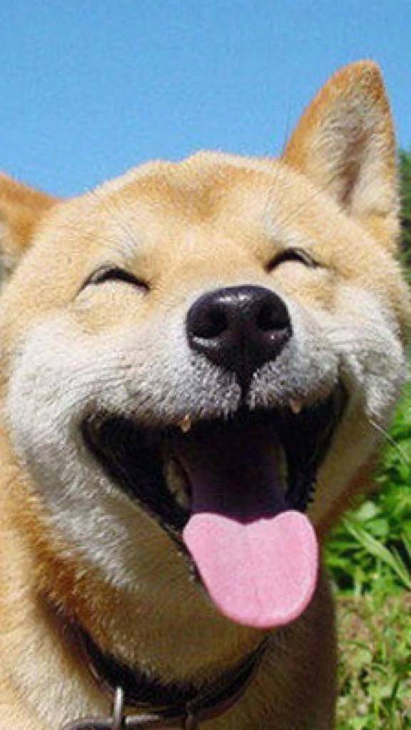 今日も💓
