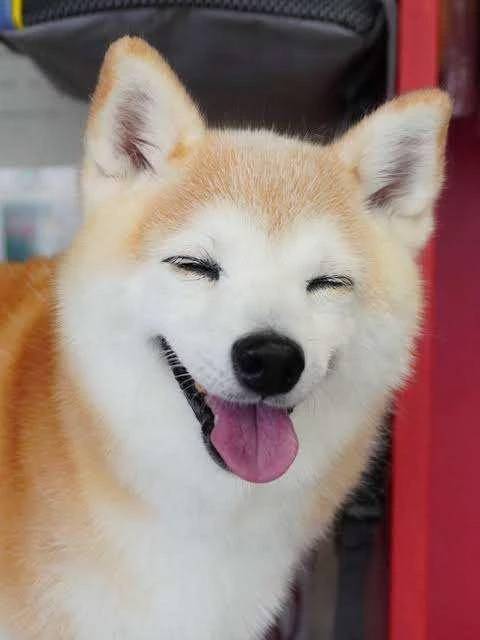 今日も💓