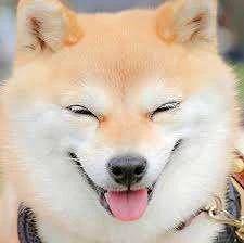 今日も💓