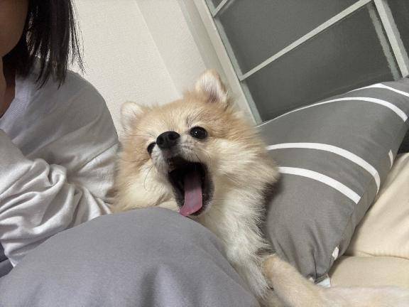 遅くなったけど昨日のお礼?