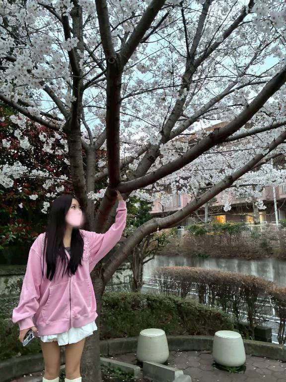 お花見🌸