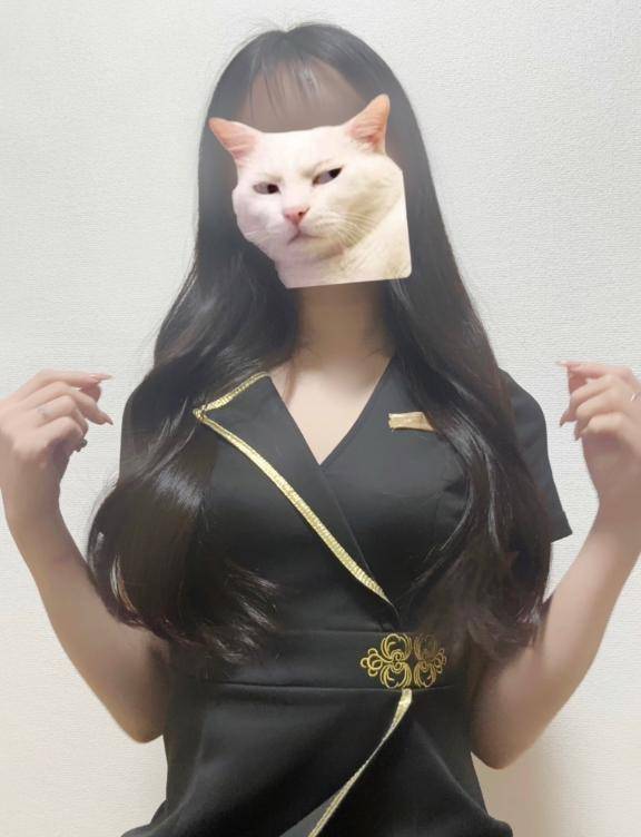 わっしょい