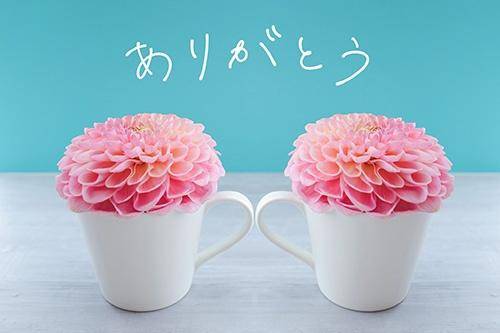 BusinessHotelのK様?お礼?