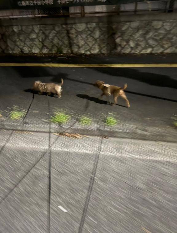 おはようございます^o^