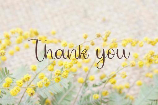 カルティニのイケメン紳士様?お礼