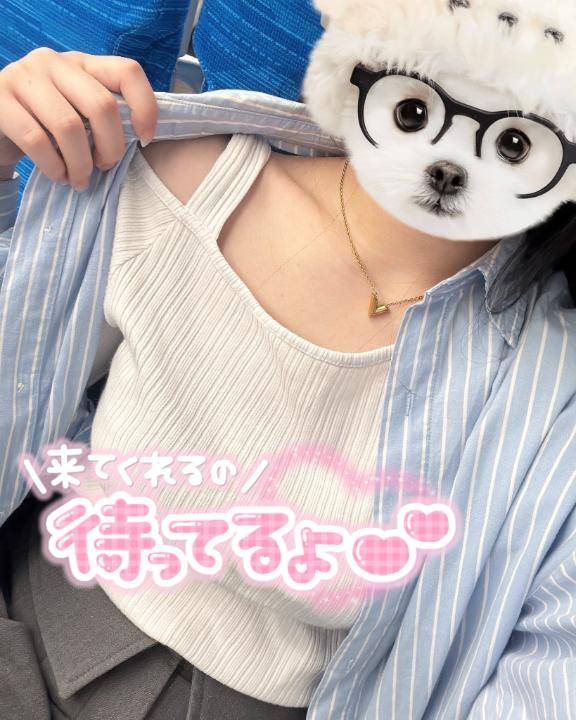 出動します??