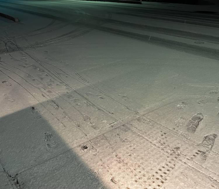 雪がめちゃ積もってる😌