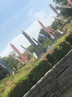 上戸りり