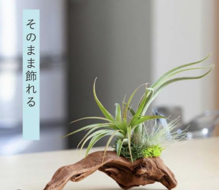 【5月23日金曜日のお礼です🧸💌】