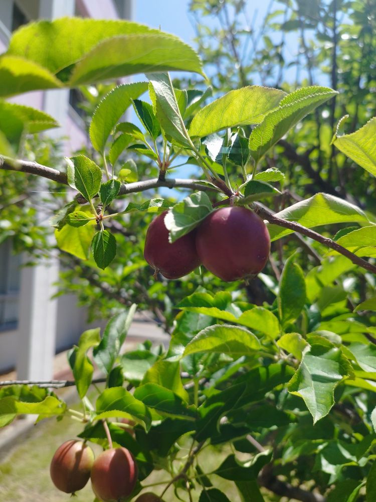 6月14日♡お礼日記♡