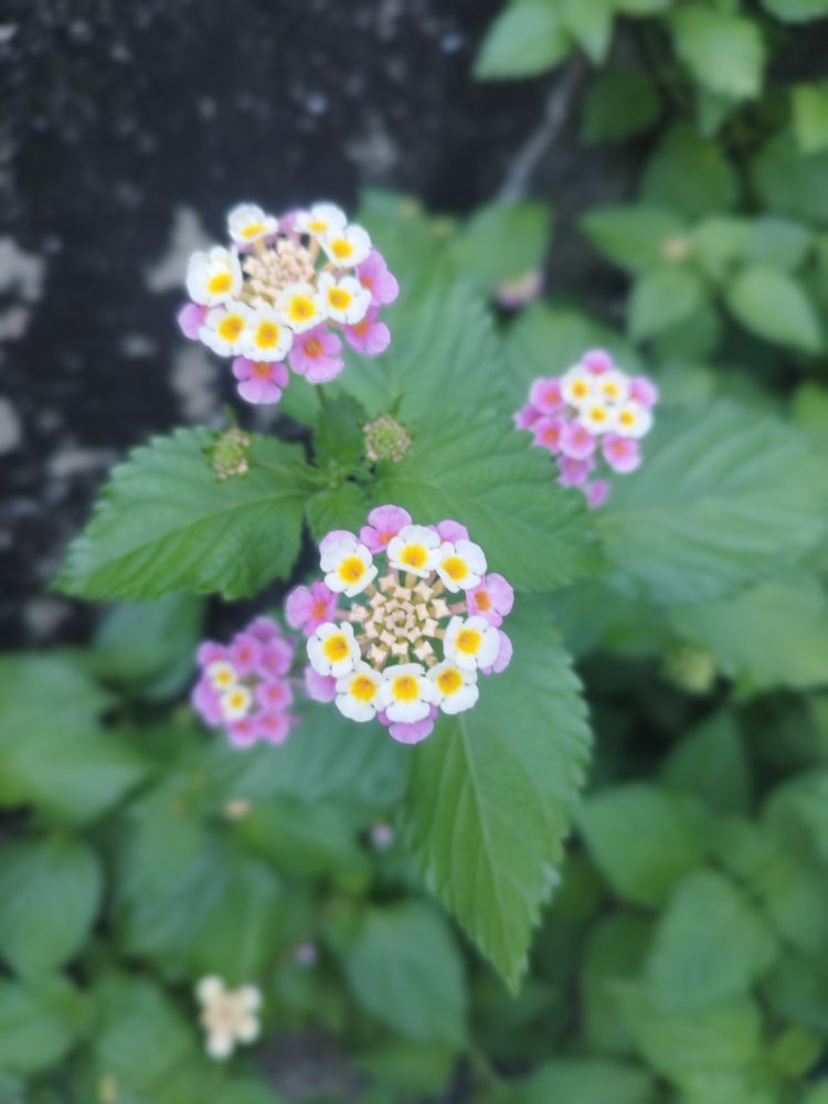 ♡6月26日♡お礼日記♡