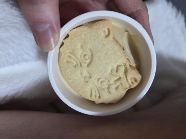 今日もアイスです💕