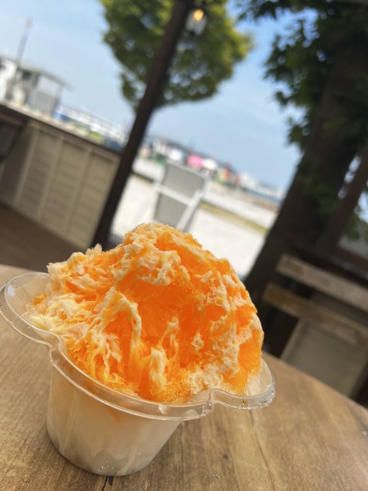 こんにちは💓お疲れ様です🤍✨