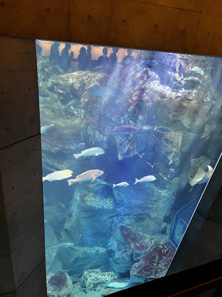 高橋　美幸☆アロマコース可能☆