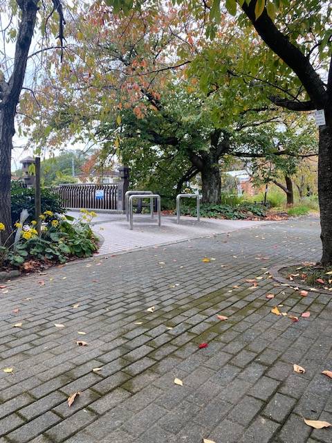 誕生日なんです