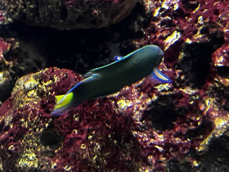 高橋　美幸☆アロマコース可能☆