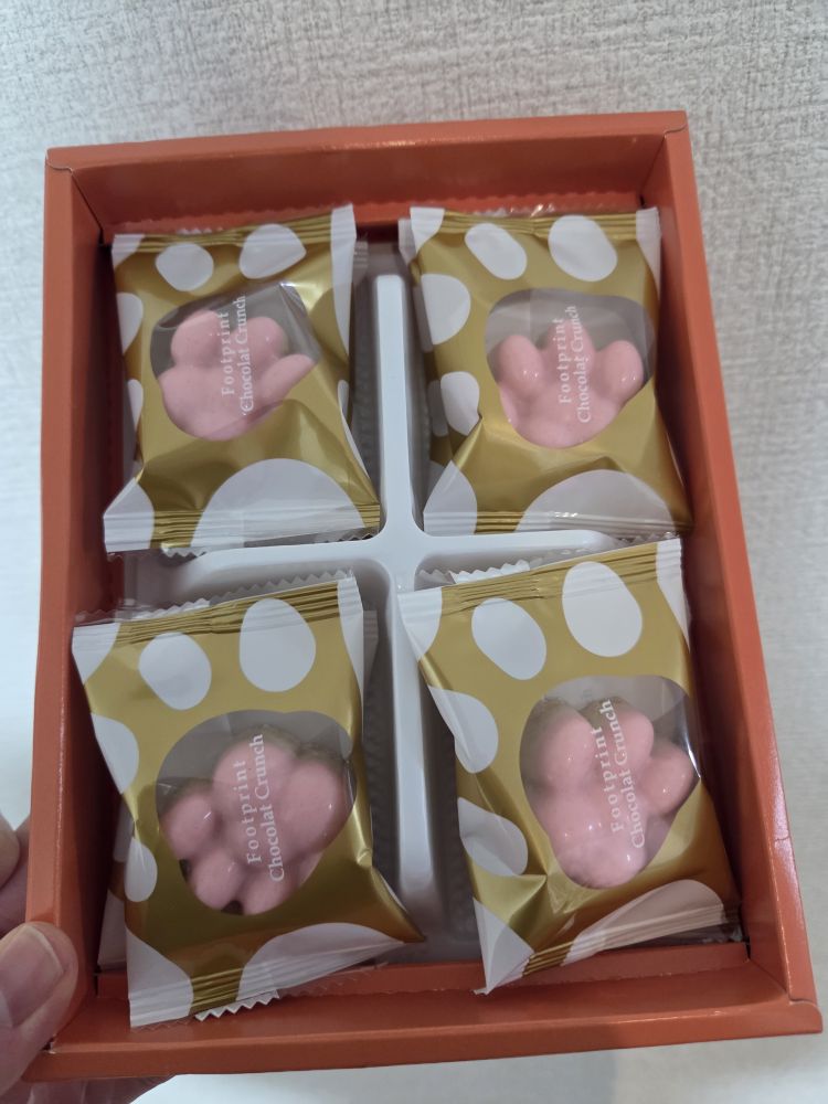 可愛くて止まらない🐱🐱🐱🐱🐱