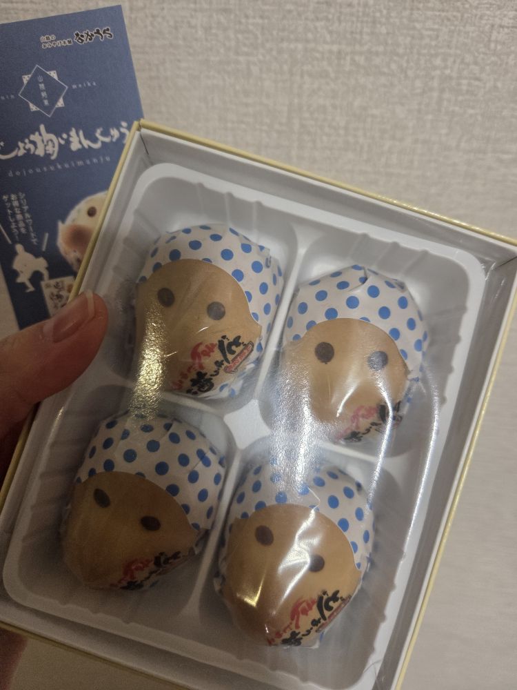 お土産が可愛すぎてる🐰🎀