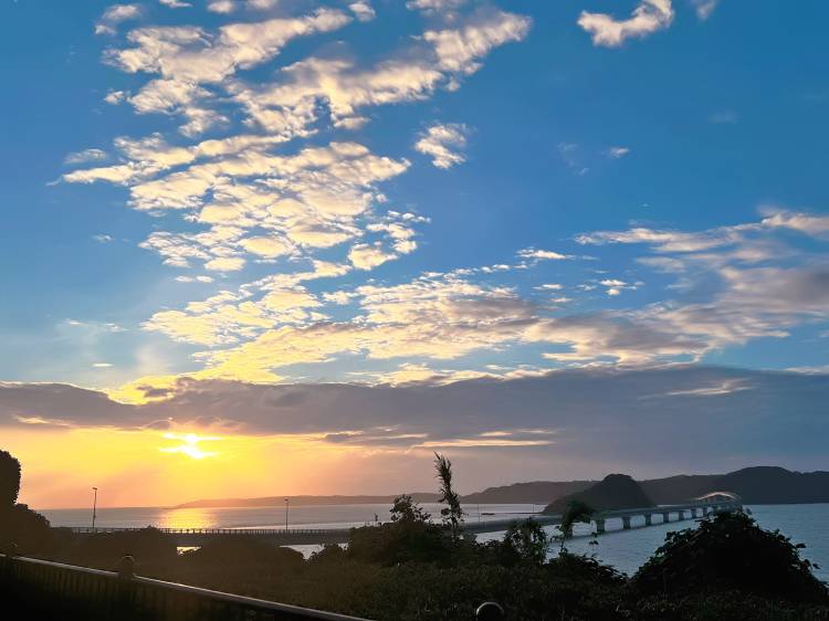 おはようございます🌷