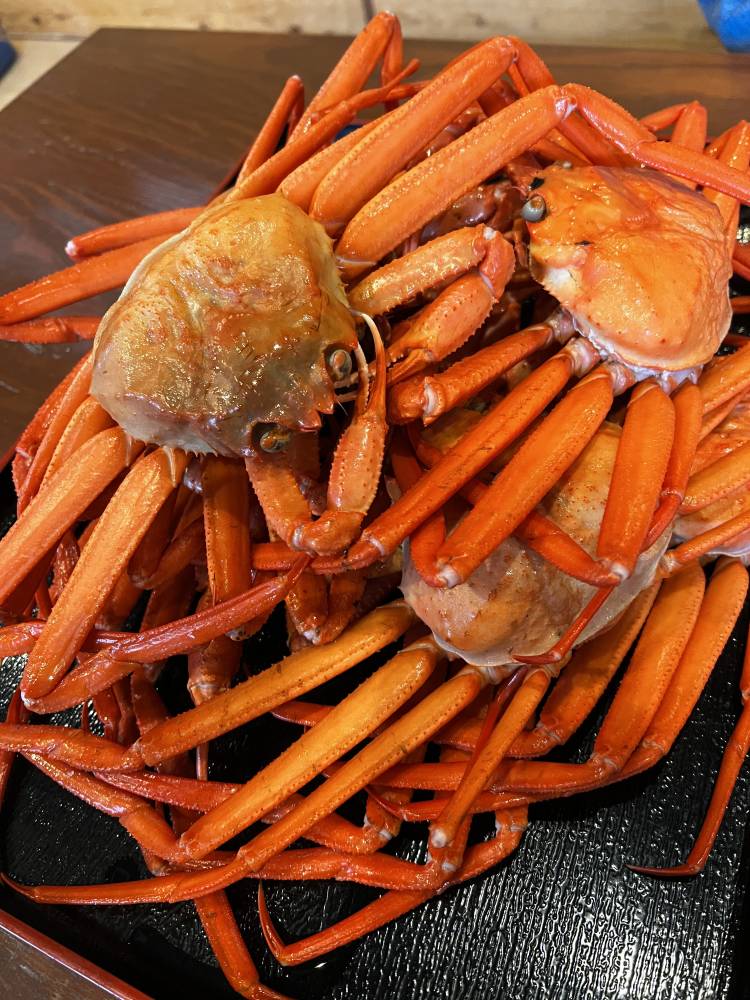 久しぶりの再会が嬉しかったり🌸初めての方と🌸