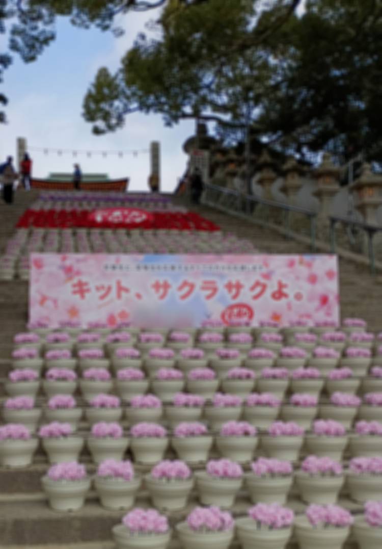 おはようございます🔆｡°