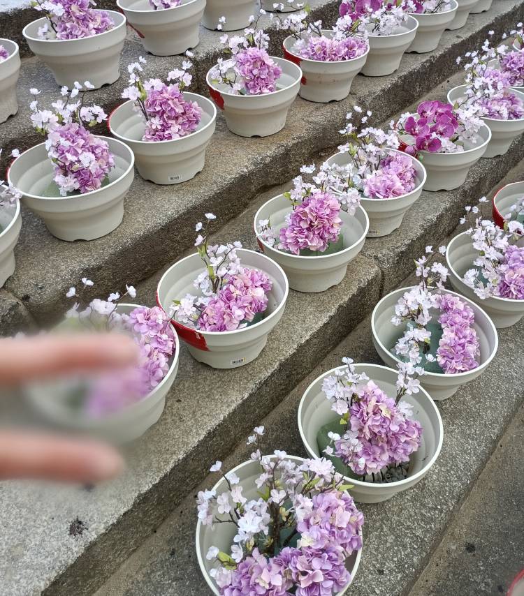 一期一会°・*:.。