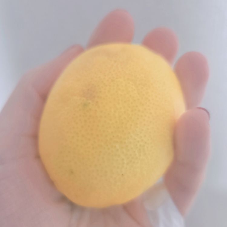 💛🍋💛🍋💛🍋💛🍋💛