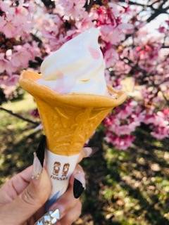 山口県 デリヘル えっちなおくさん -岩国・周南・防府- 上戸りり