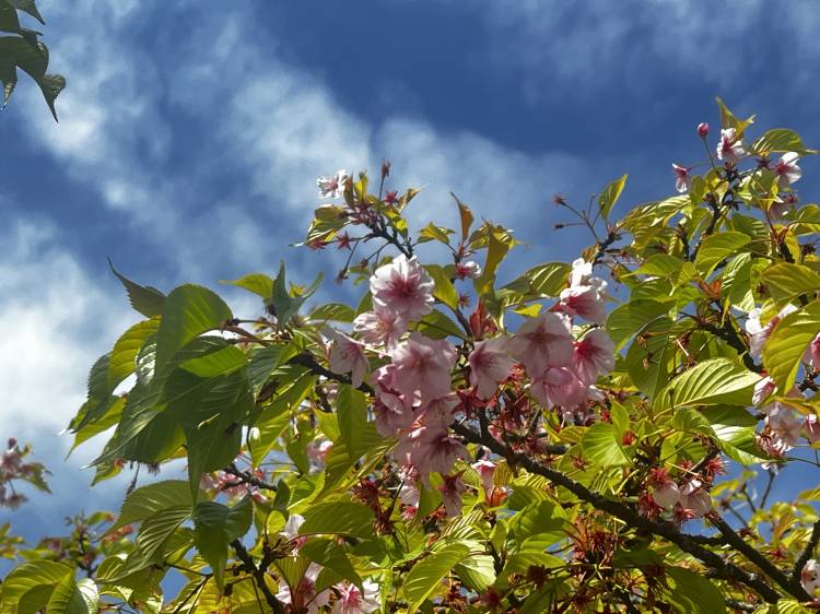 一緒にいるひとによって🤍