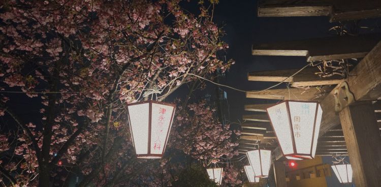 昨日は素敵な桜の会🌸