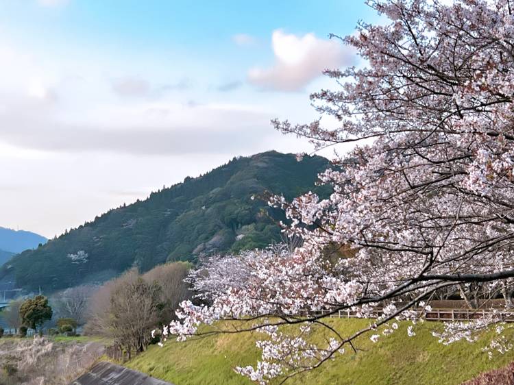高橋　美幸☆アロマコース可能☆