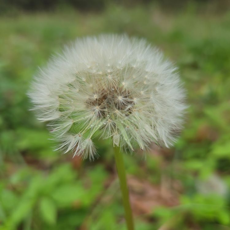 嬉しいねえ🐰🎀