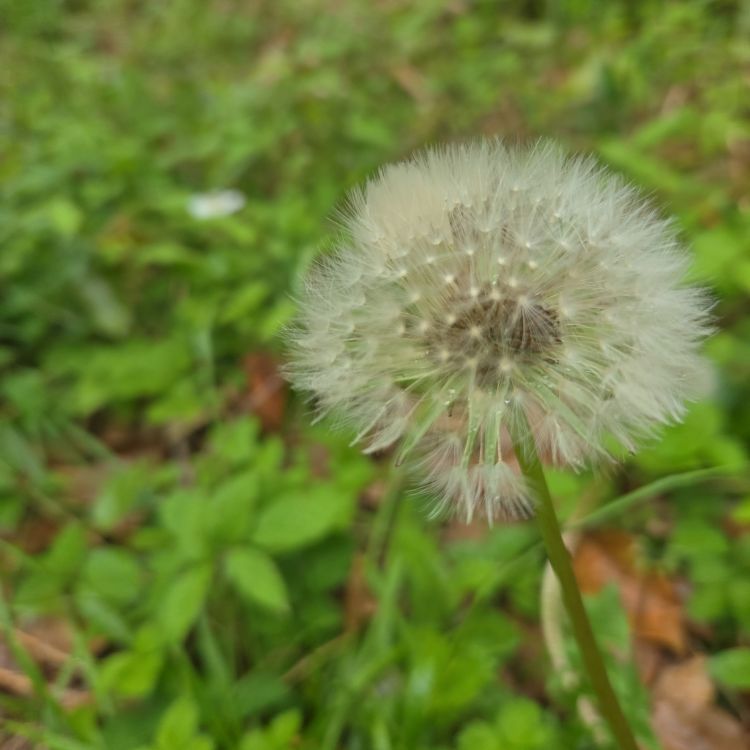 １９時より受付開始です🍀