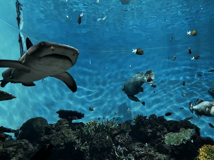 いつかの写真から〜🤍💗💙