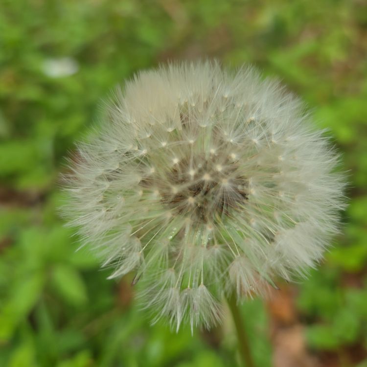 出勤するよ～🫧🐰🎀