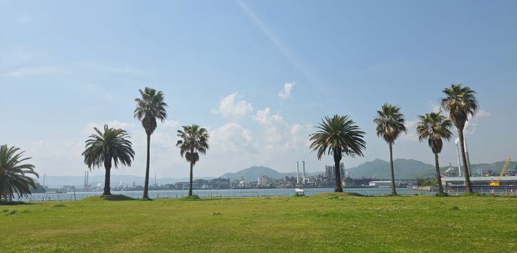 とりたて写真🫧📷🤍四葉が見つけれたらラッキーだよね🎀🎵