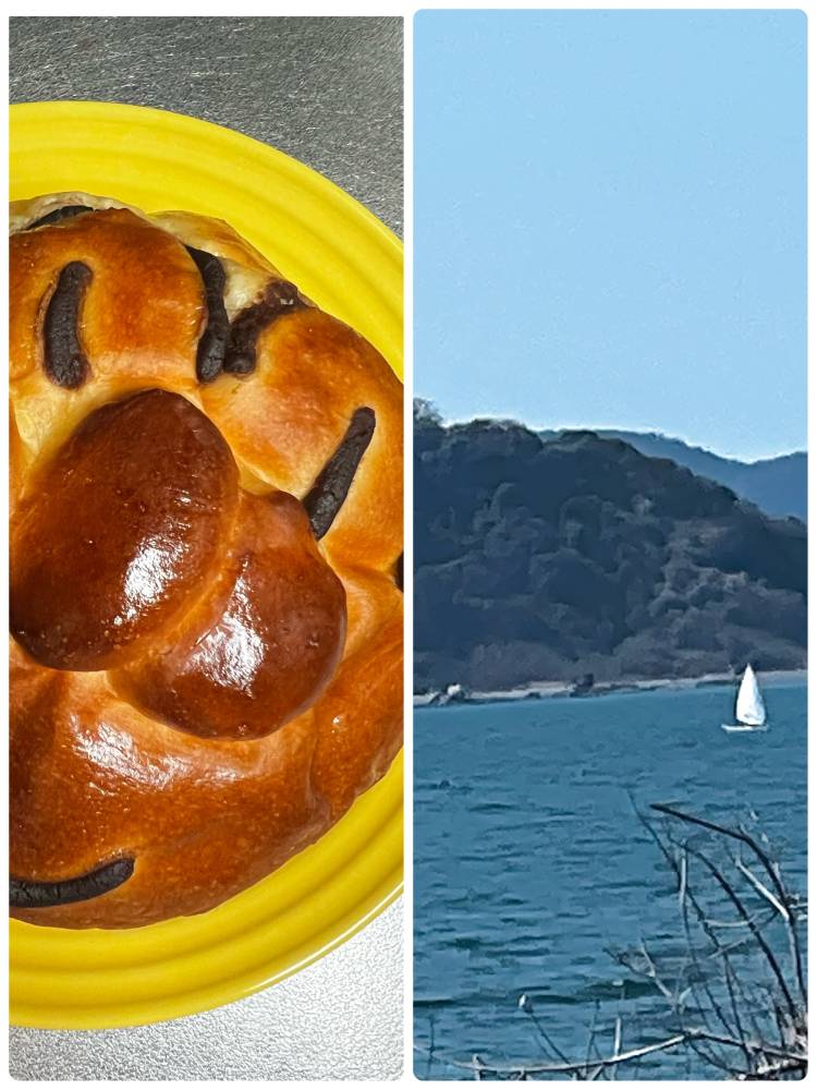 出勤になります💐