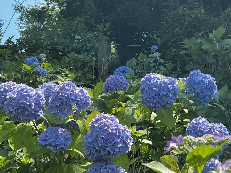 𝑻𝒖𝒆𝒔𝒅𝒂𝒚🌺🤍
