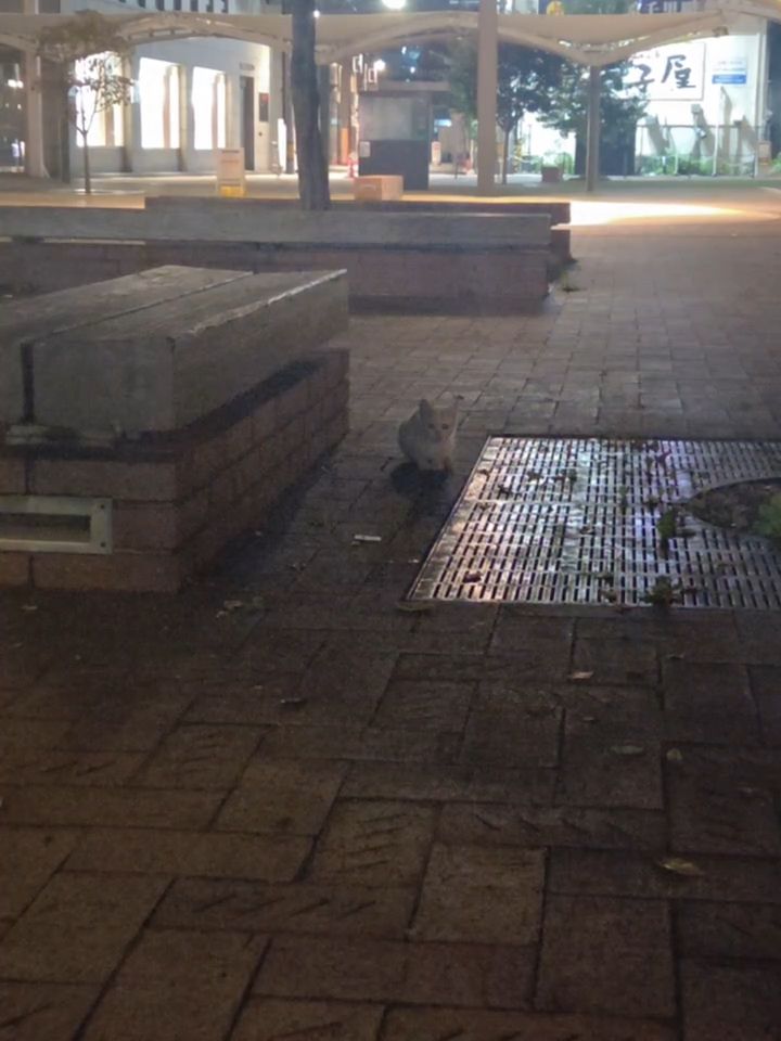 これも1つの出逢い♡まだまだ大人のお時間♡