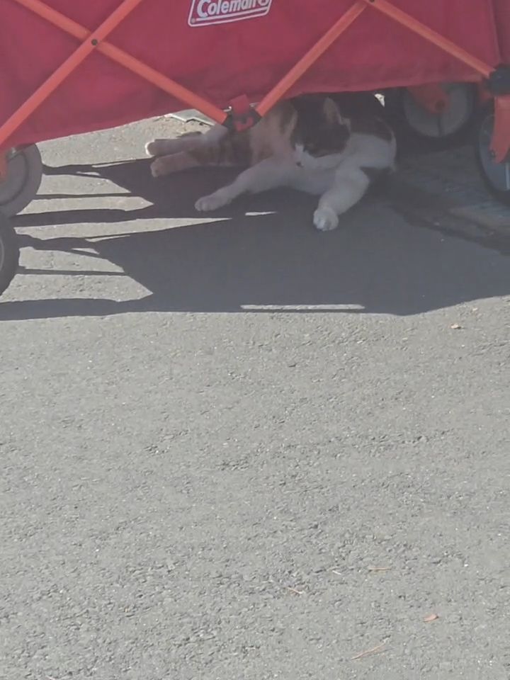 本日も出逢えました♡