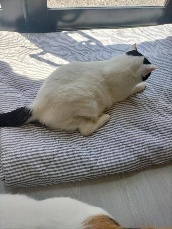 今日はお休みします