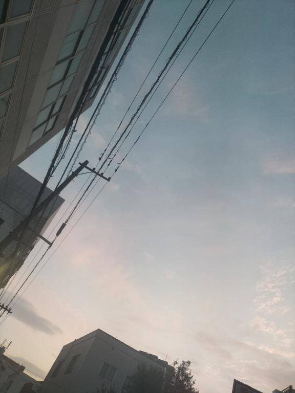 今日はお休みしました