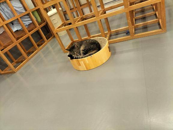 おはようございます