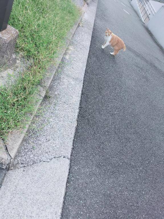 [お題]from:キキさん