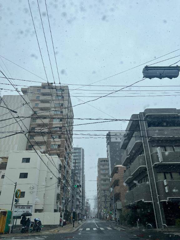 おはようございます。