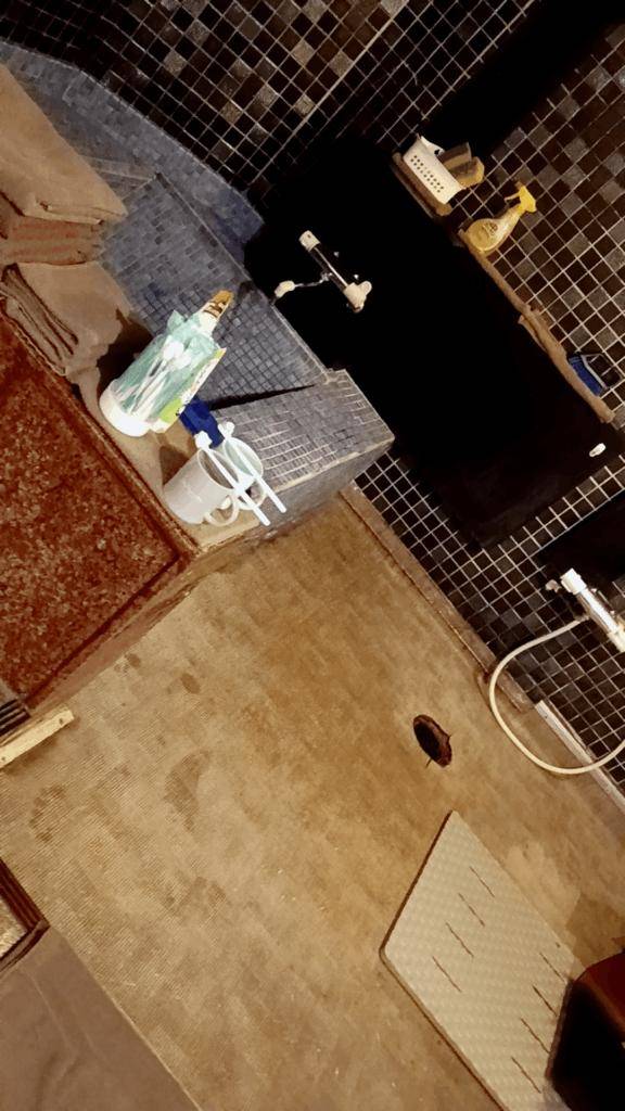 おはようございます