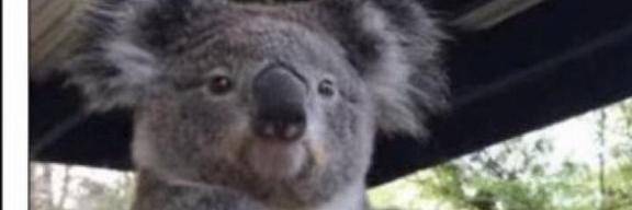 [お題]from:パンの耳さん