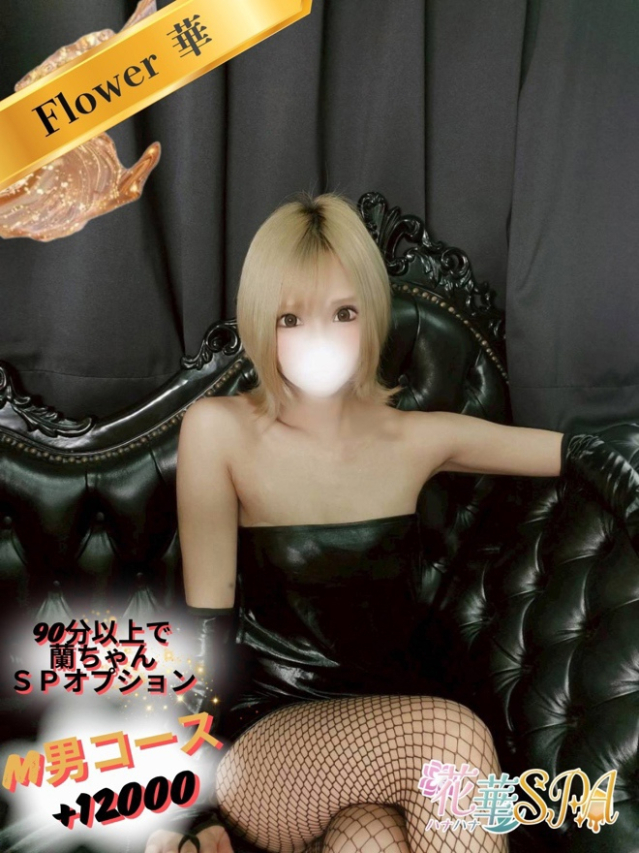 蘭☆FLOWER