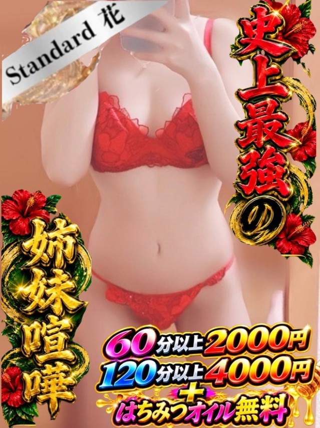 ねこ☆STANDARD